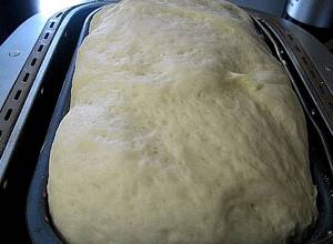 Дрожжевое тесто в хлебопечке для булочек рецепт
