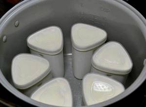 Как сделать йогурт в мультиварке в домашних условиях рецепт