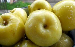 Моченые яблоки в домашних условиях рецепт