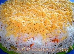 Салат мимоза рецепт с сардиной и твердым сыром