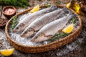 Свежемороженый муксун: особенности рыбы, технологии заморозки и роль северных поставщиков