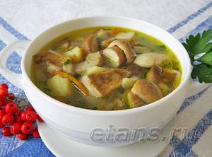 Грибной суп из белых грибов рецепт с фото