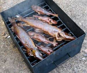 Холодное копчение рыбы в домашних условиях рецепт видео
