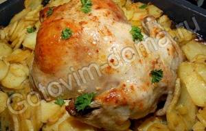 Картошка с курицей запеченная в духовке рецепт с фото