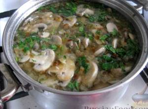 Простой грибной суп рецепт из шампиньонов