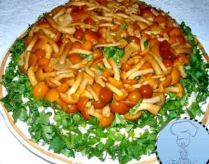 Рецепт салат грибная поляна с опятами