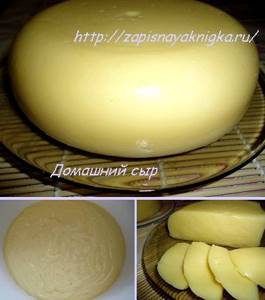 Сыр в домашних условиях рецепт с фото из молока